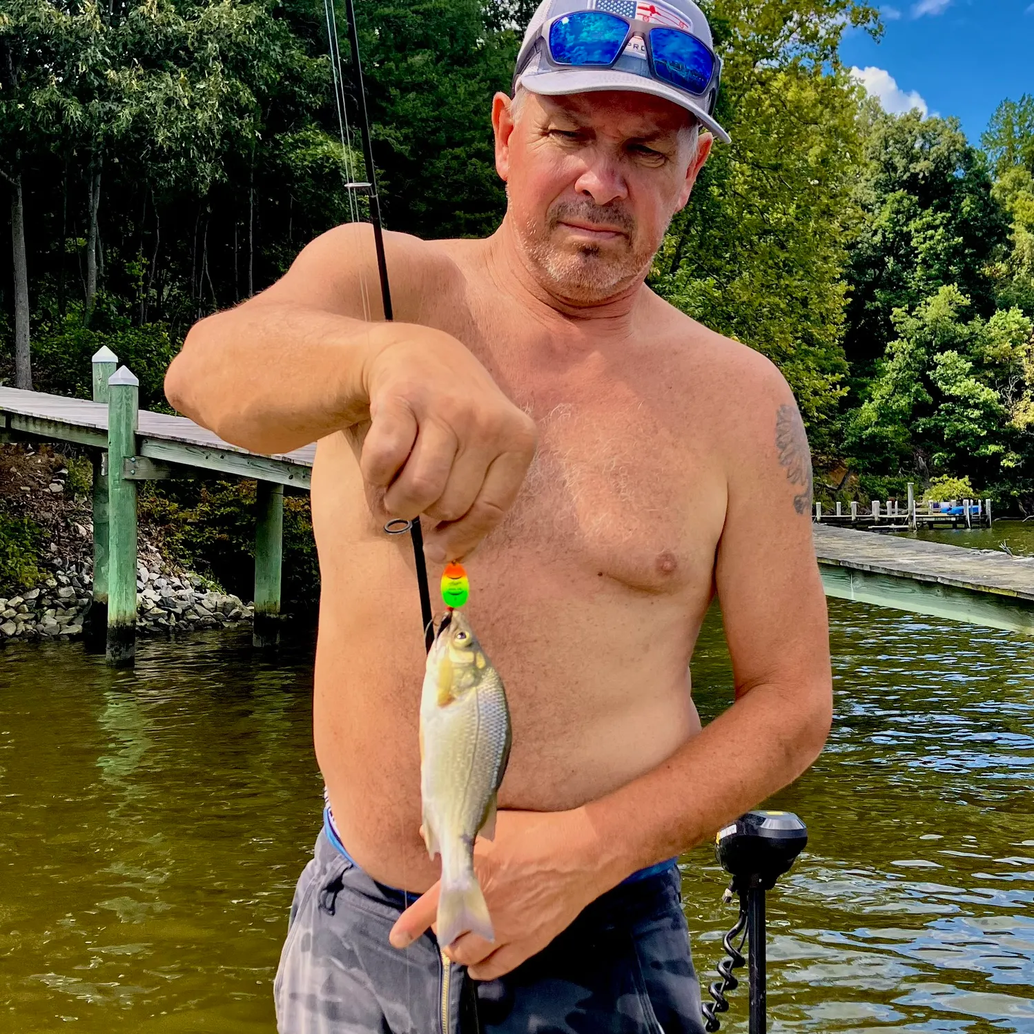 White perch caught on Fishbrain
