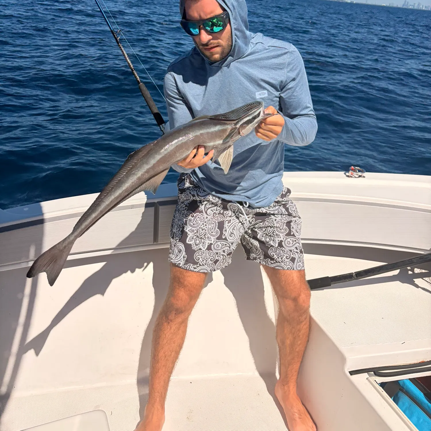 The most recent Common remora catches on Fishbrain