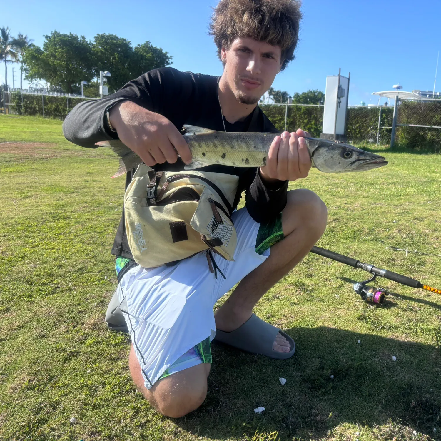 The most recent Great barracuda catches on Fishbrain