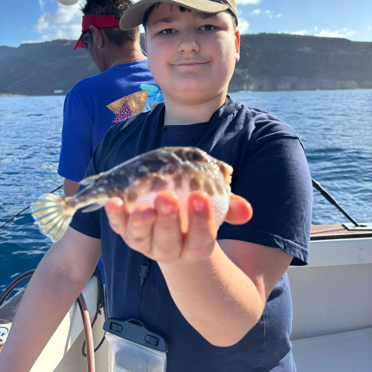 The most recent Milkspotted puffer catches on Fishbrain