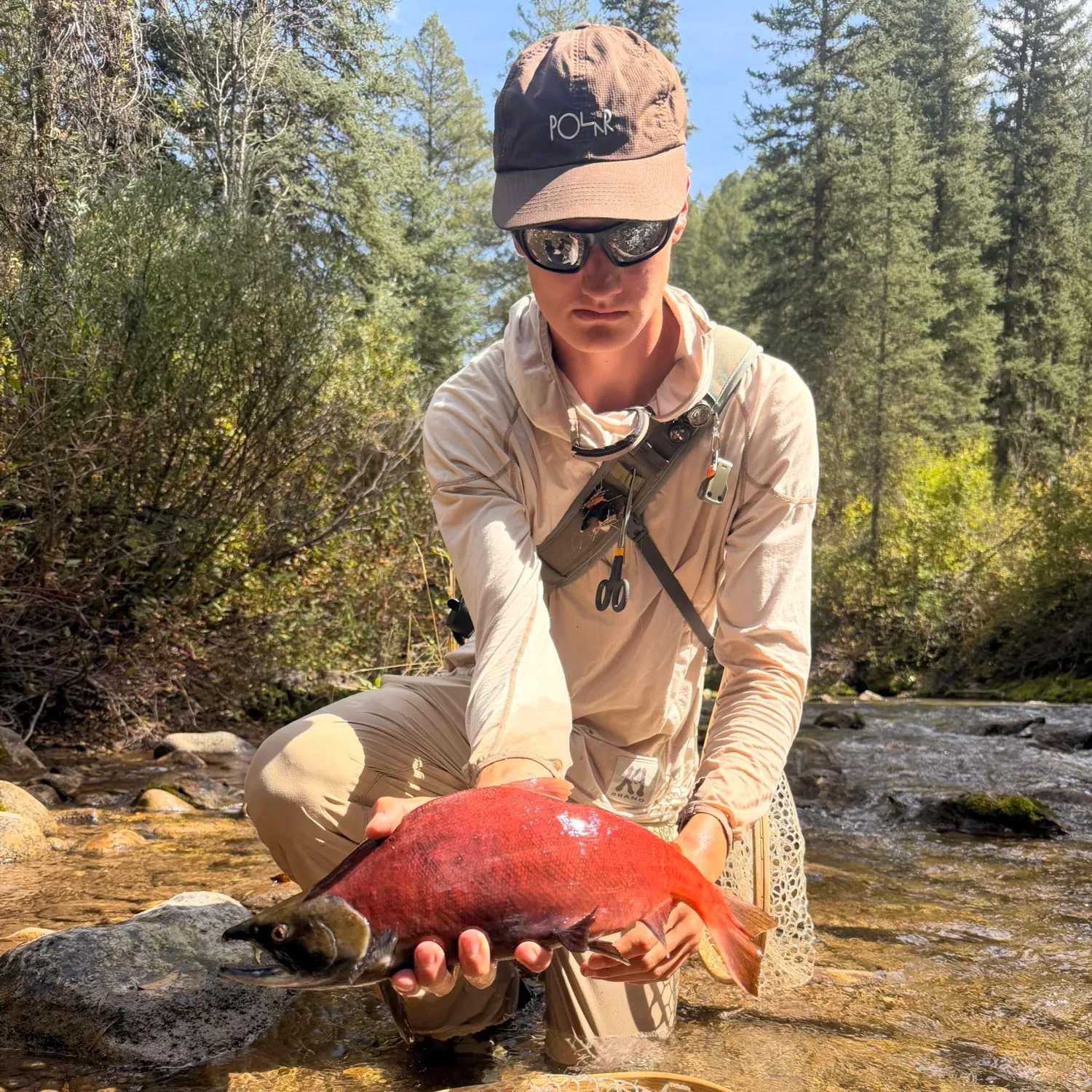 Kokanee salmon caught on Fishbrain