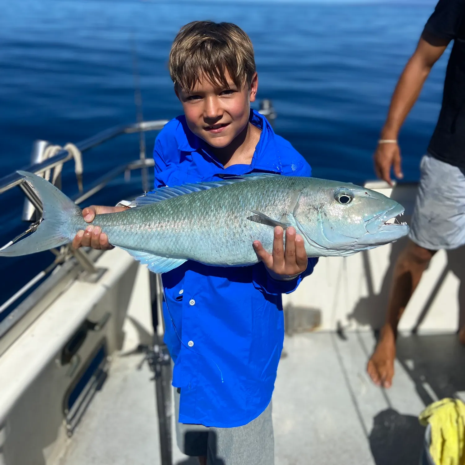 The most recent Green jobfish catches on Fishbrain