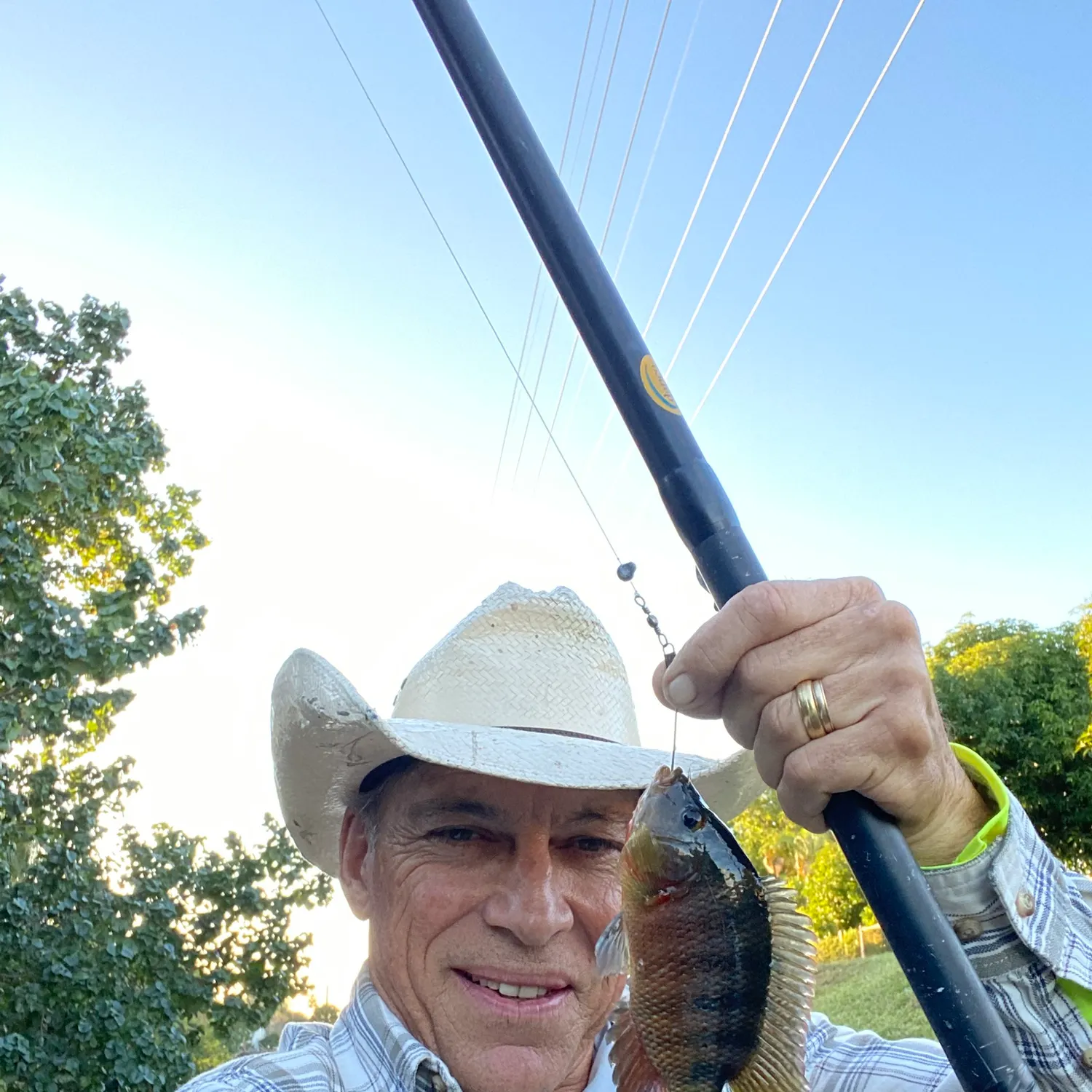 The most recent Redbreast tilapia catches on Fishbrain