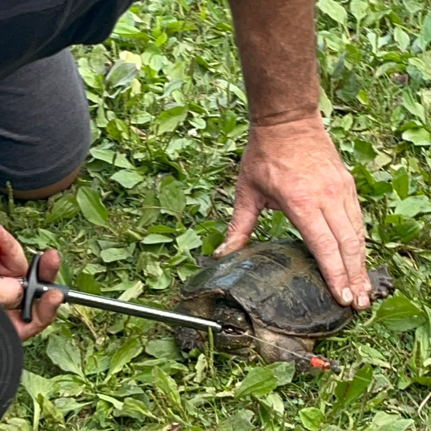 catch
