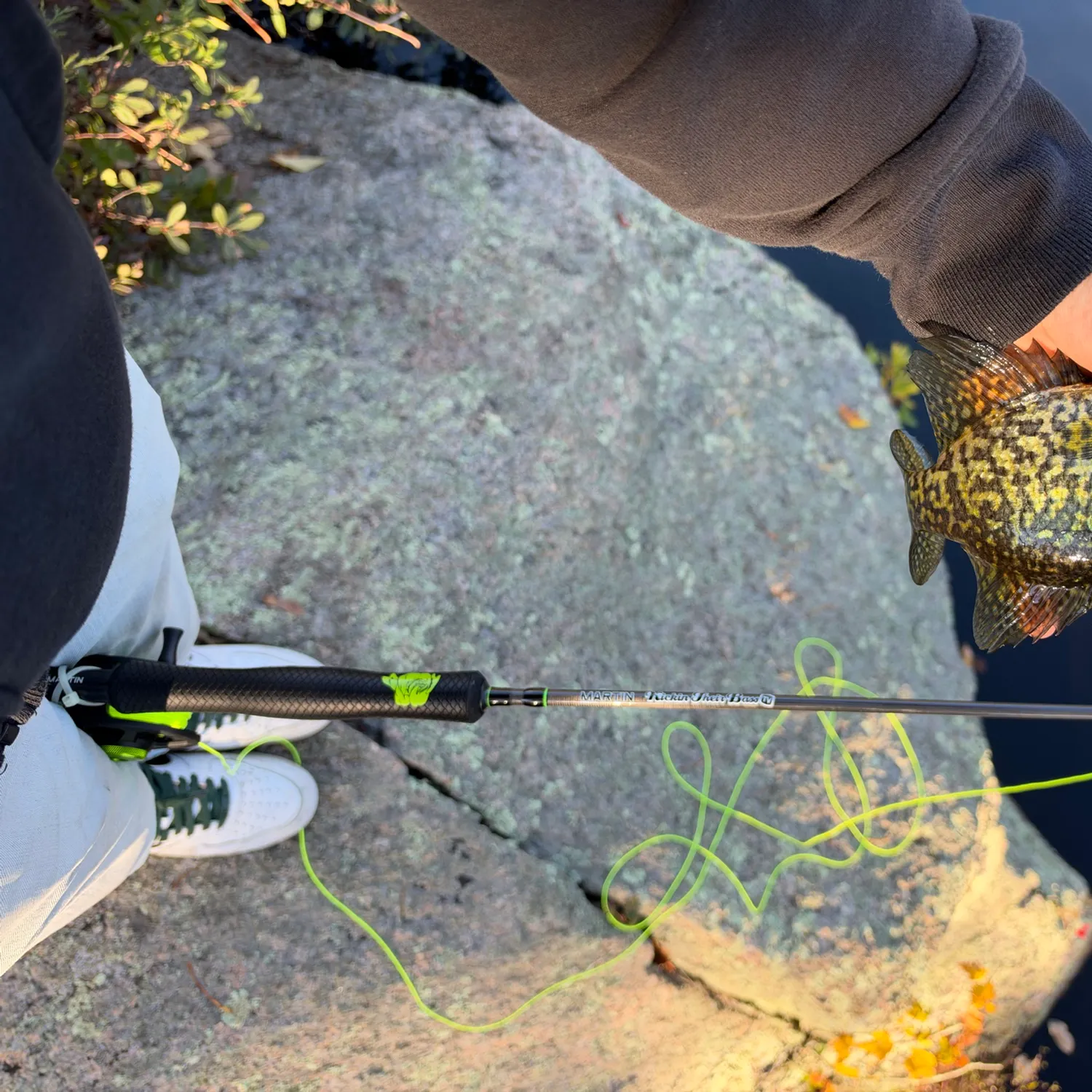 Black crappie caught on Fishbrain