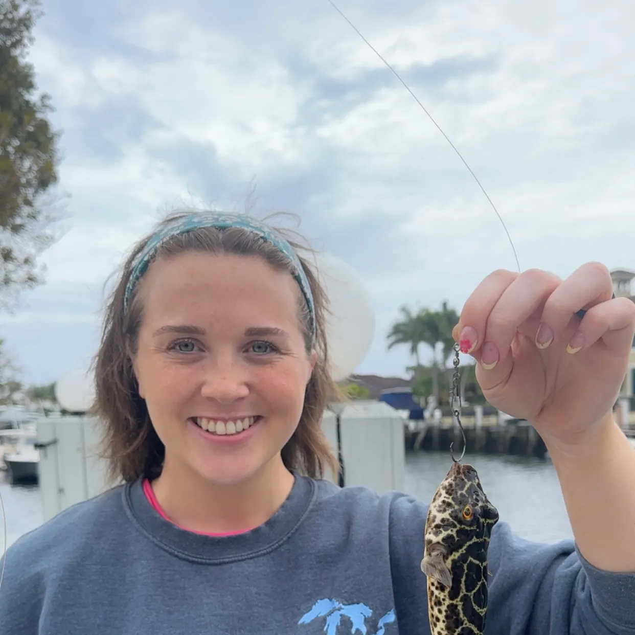 The most recent Checkered puffer catches on Fishbrain
