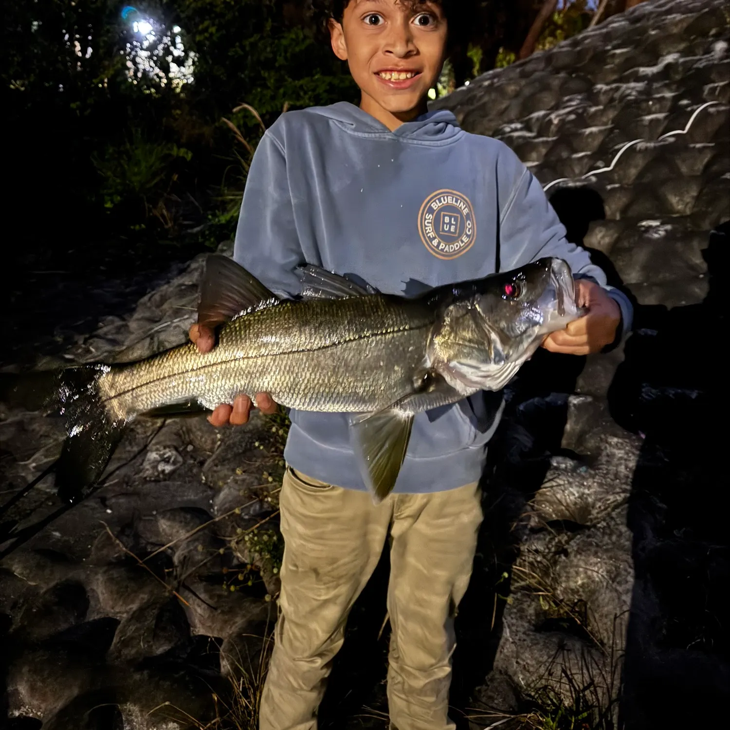 The most recent Fat snook catches on Fishbrain