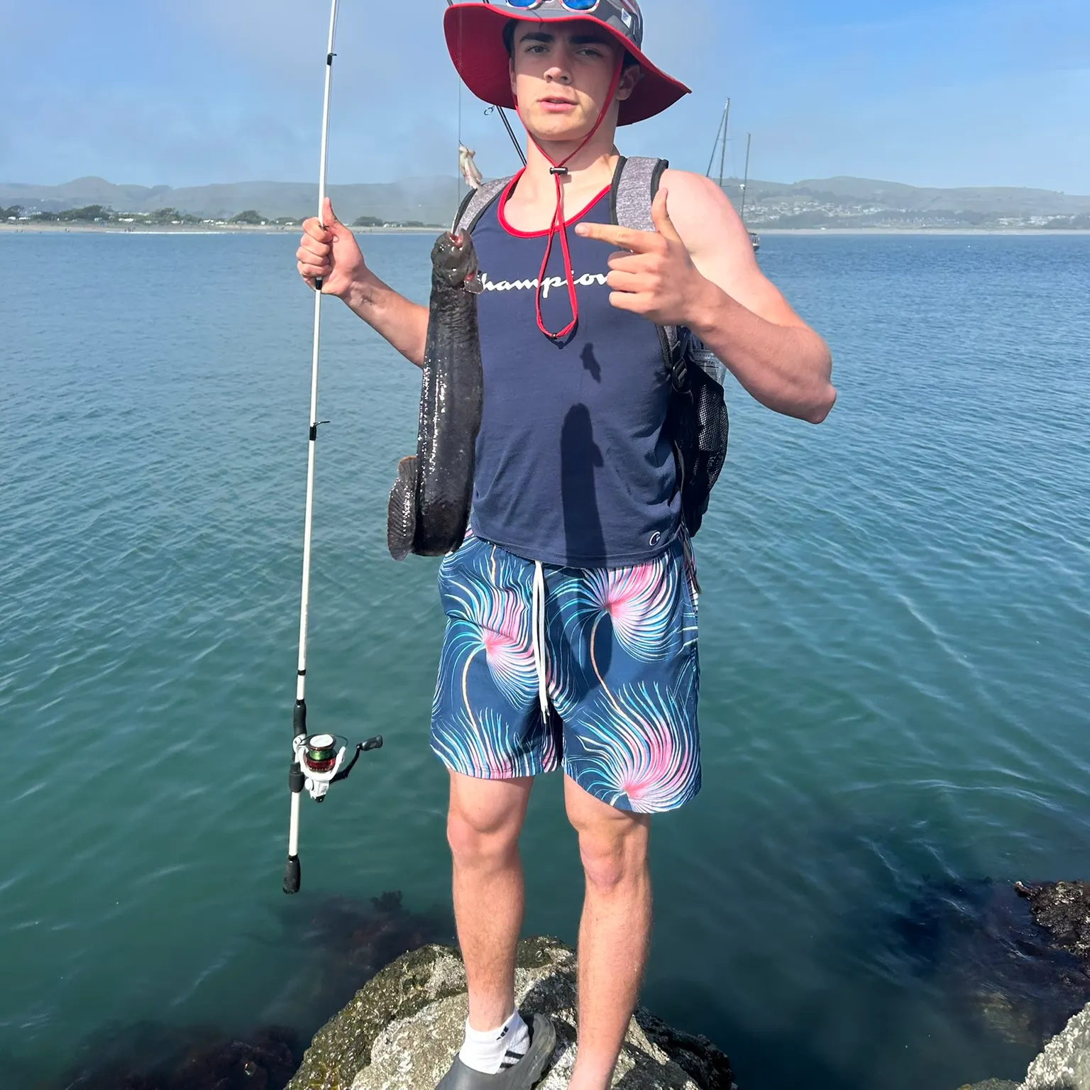 The most recent Monkeyface prickleback catches on Fishbrain