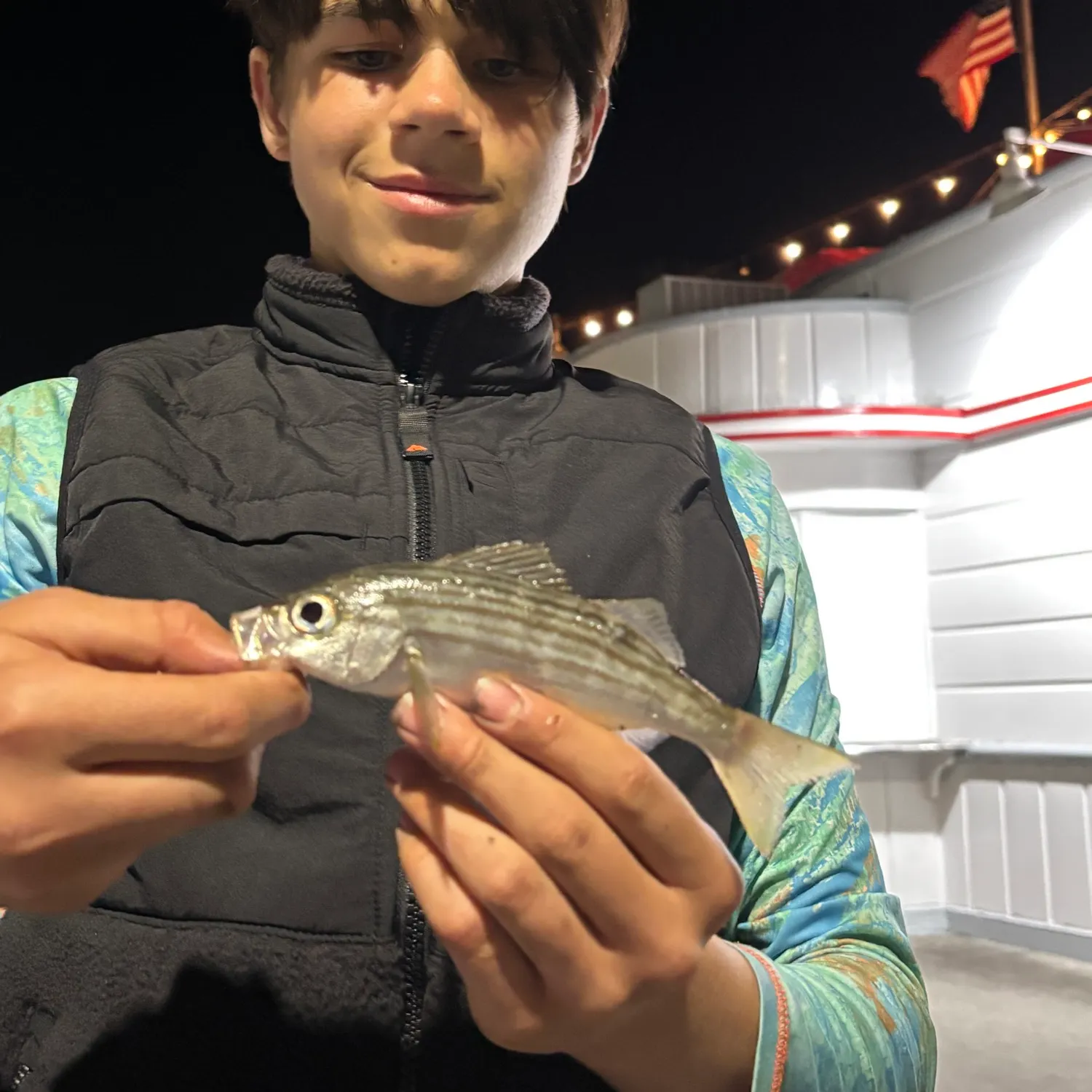 The most recent Californian salema catches on Fishbrain