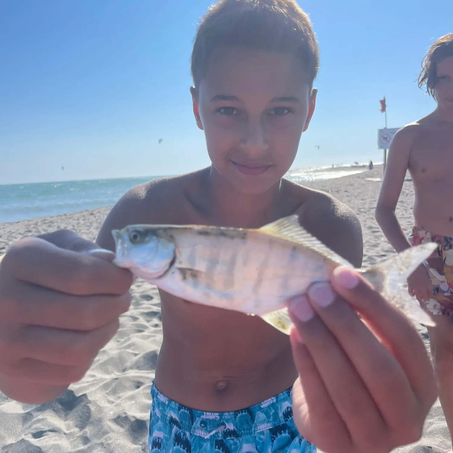 The most recent Leerfish catches on Fishbrain