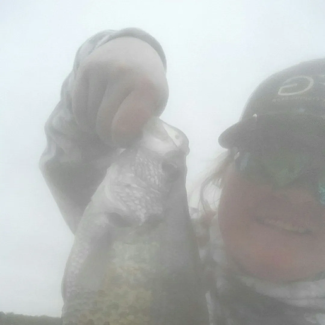 The most recent Black crappie catches on Fishbrain