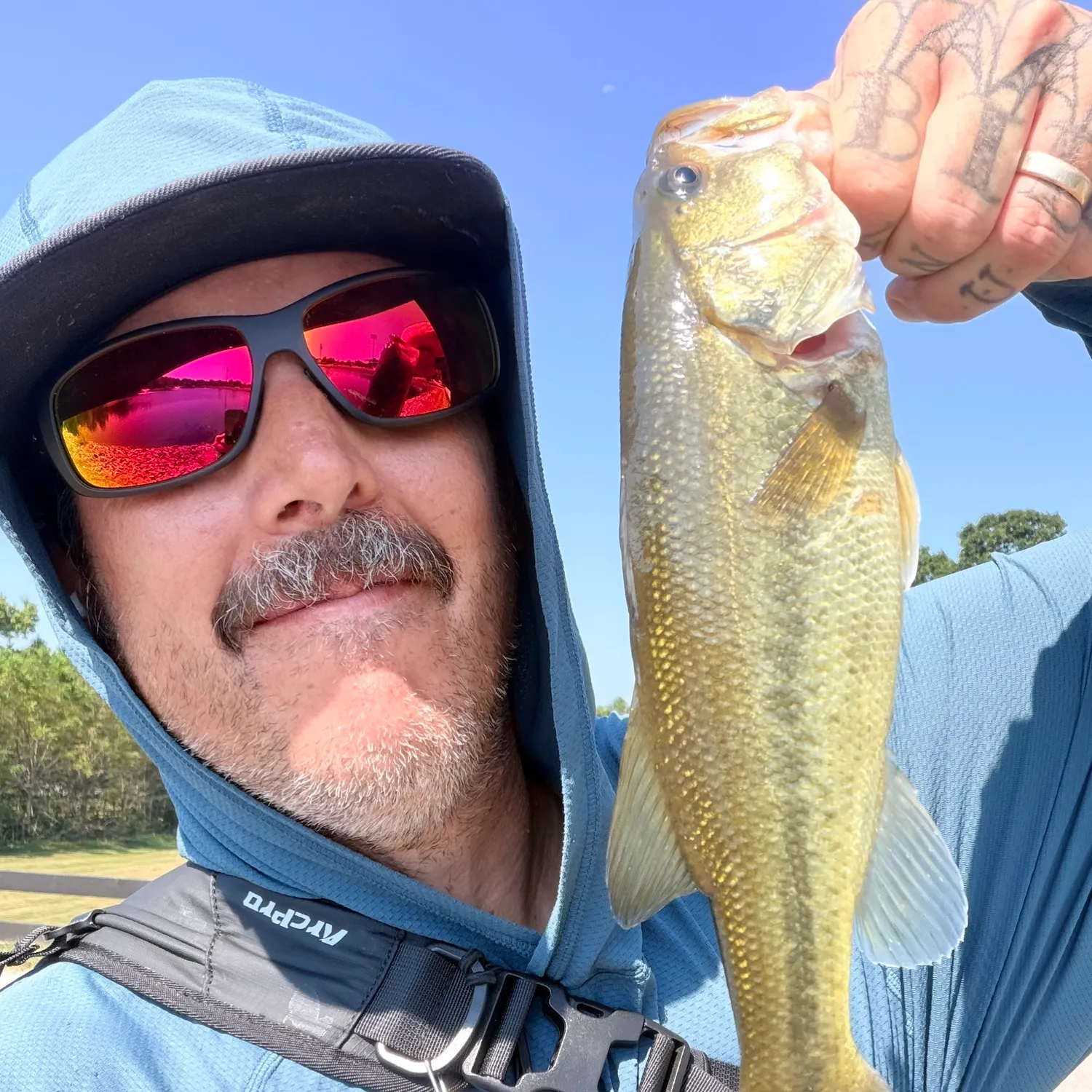 Largemouth bass caught on Fishbrain