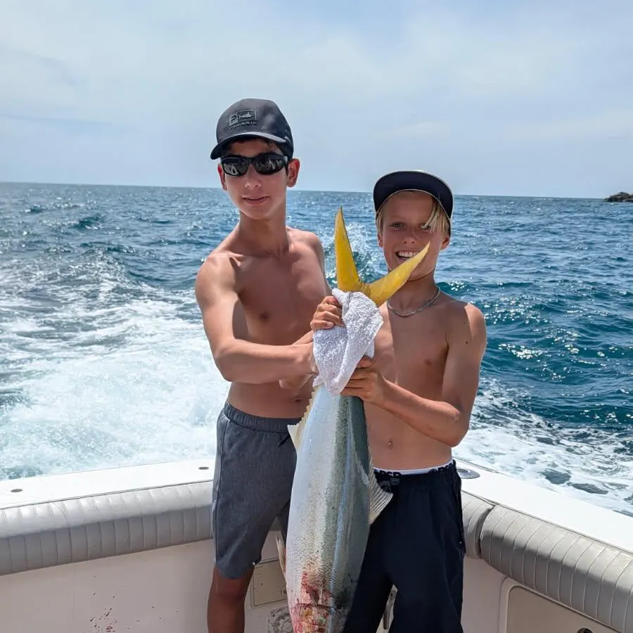The most recent Japanese amberjack catches on Fishbrain