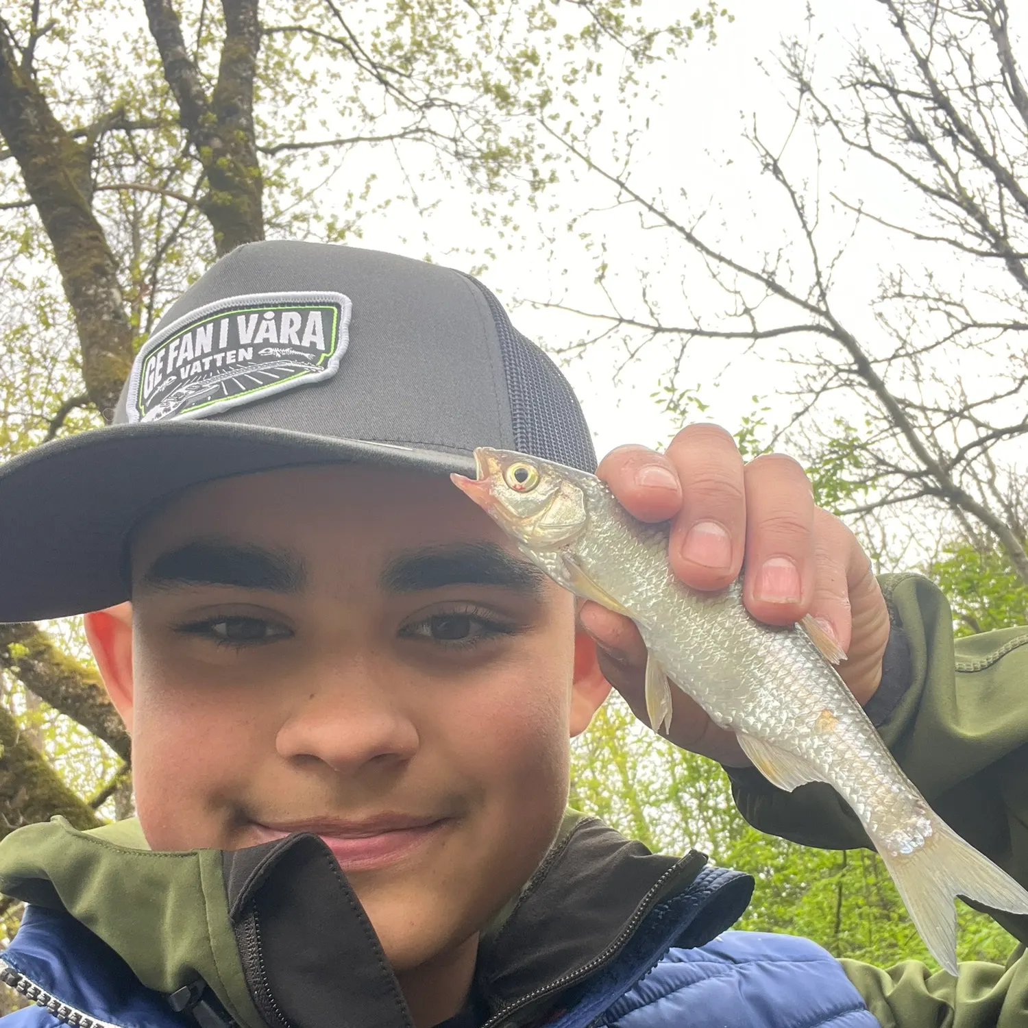 The most recent Common dace catches on Fishbrain