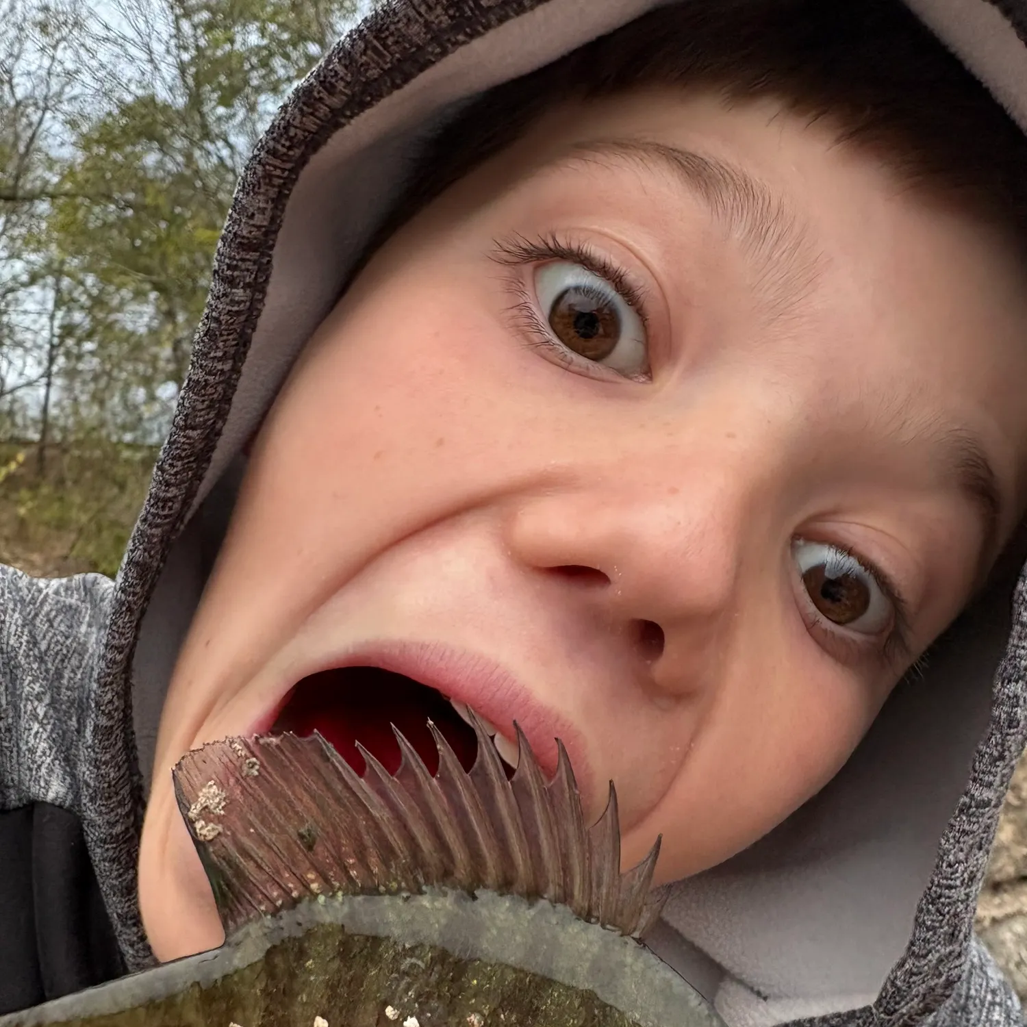 The most recent Bluegill catches on Fishbrain