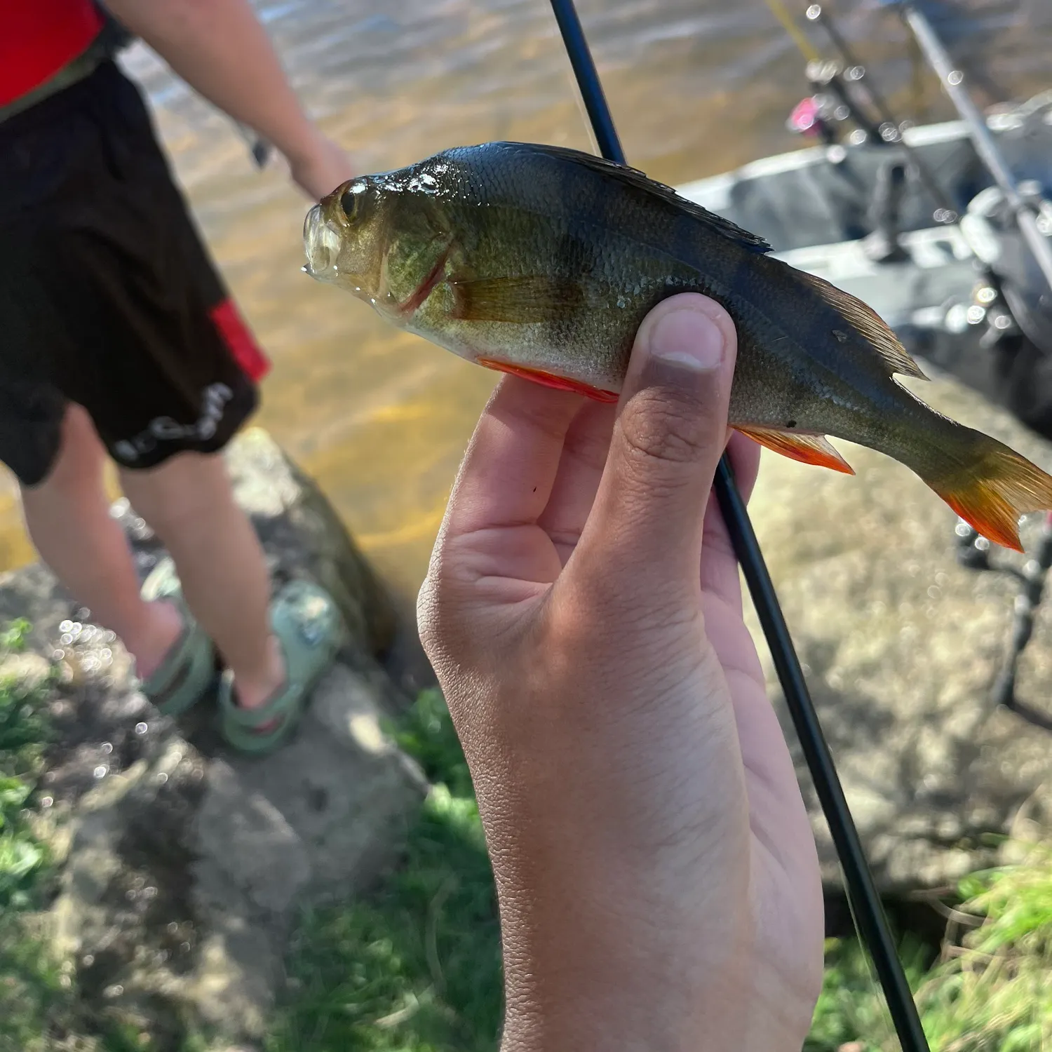 catch