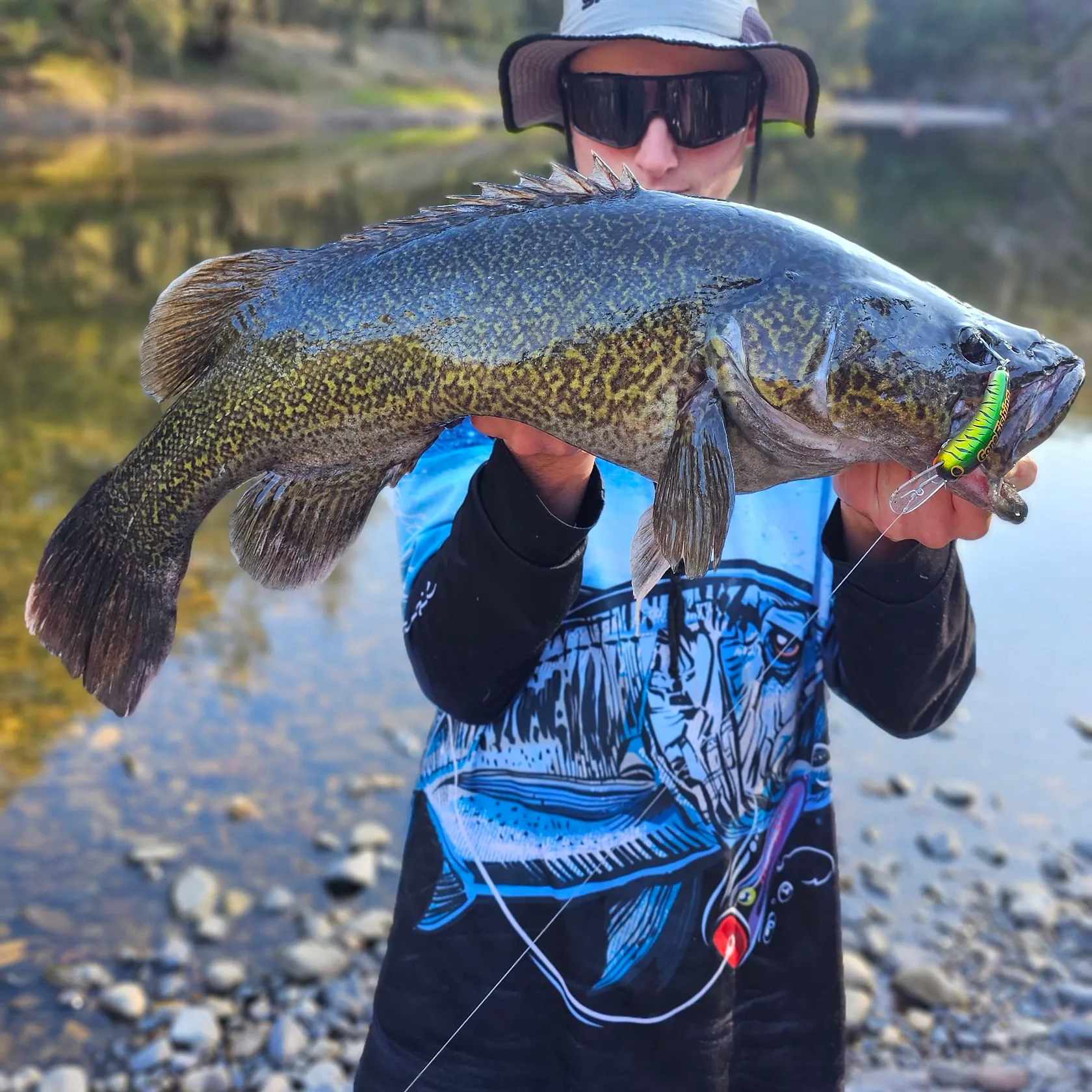 The most recent Clarence River cod catches on Fishbrain
