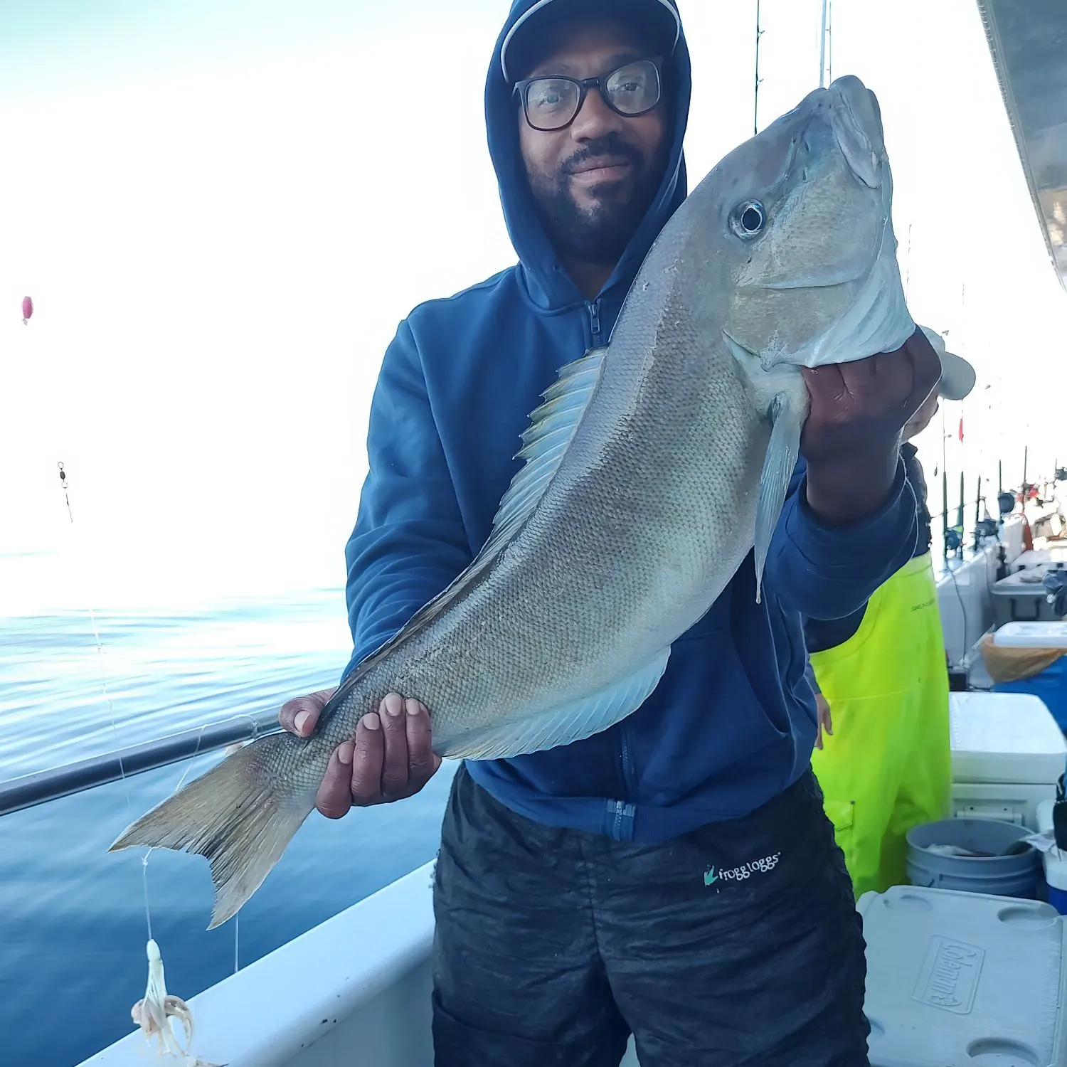 The most recent Grey tilefish catches on Fishbrain