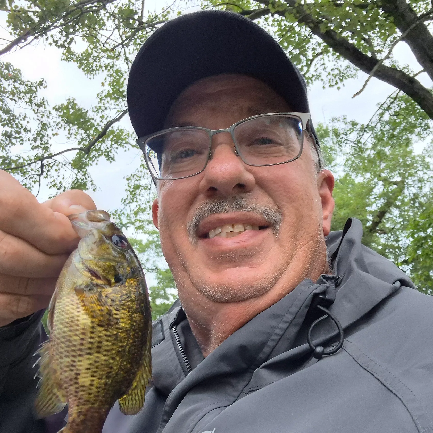 Rock bass caught on Fishbrain