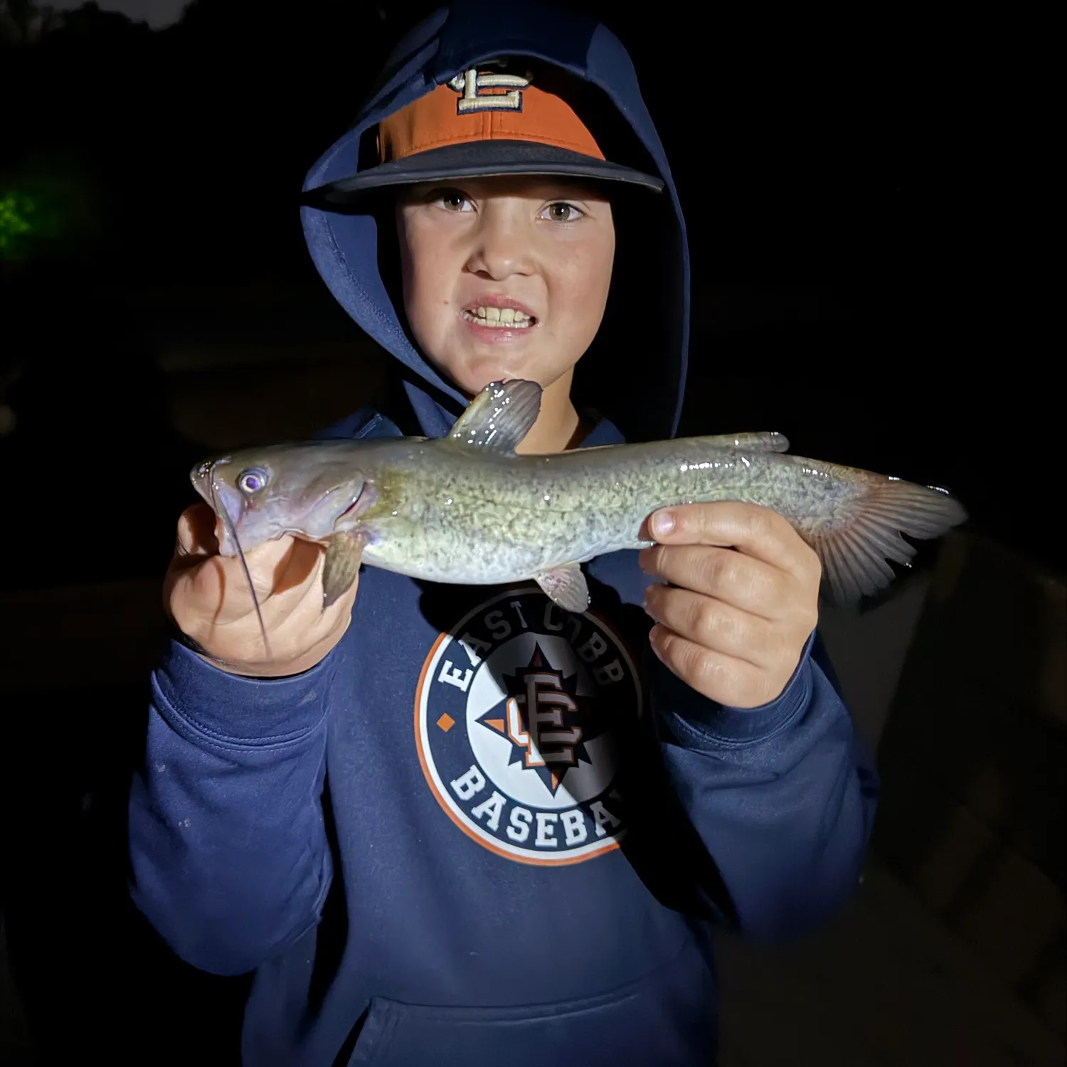 Brown bullhead caught on Fishbrain