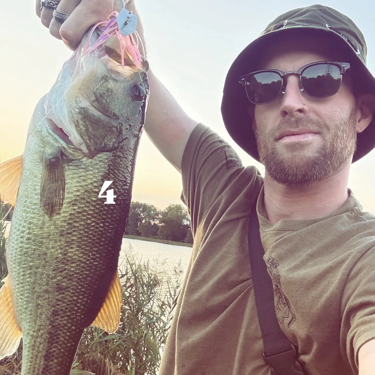 Largemouth bass caught on Fishbrain