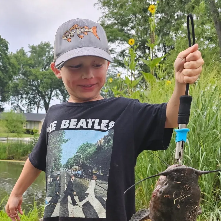 Flathead catfish caught on Fishbrain