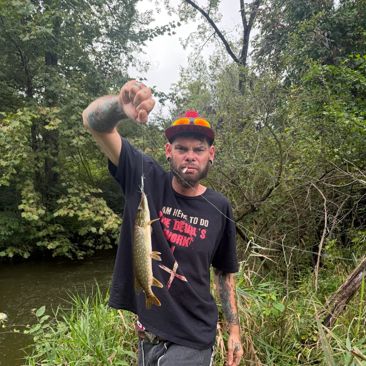 Northern pike caught on Fishbrain