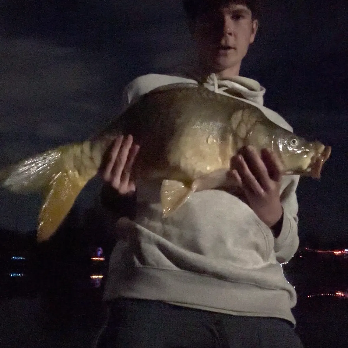 Mirror carp caught on Fishbrain