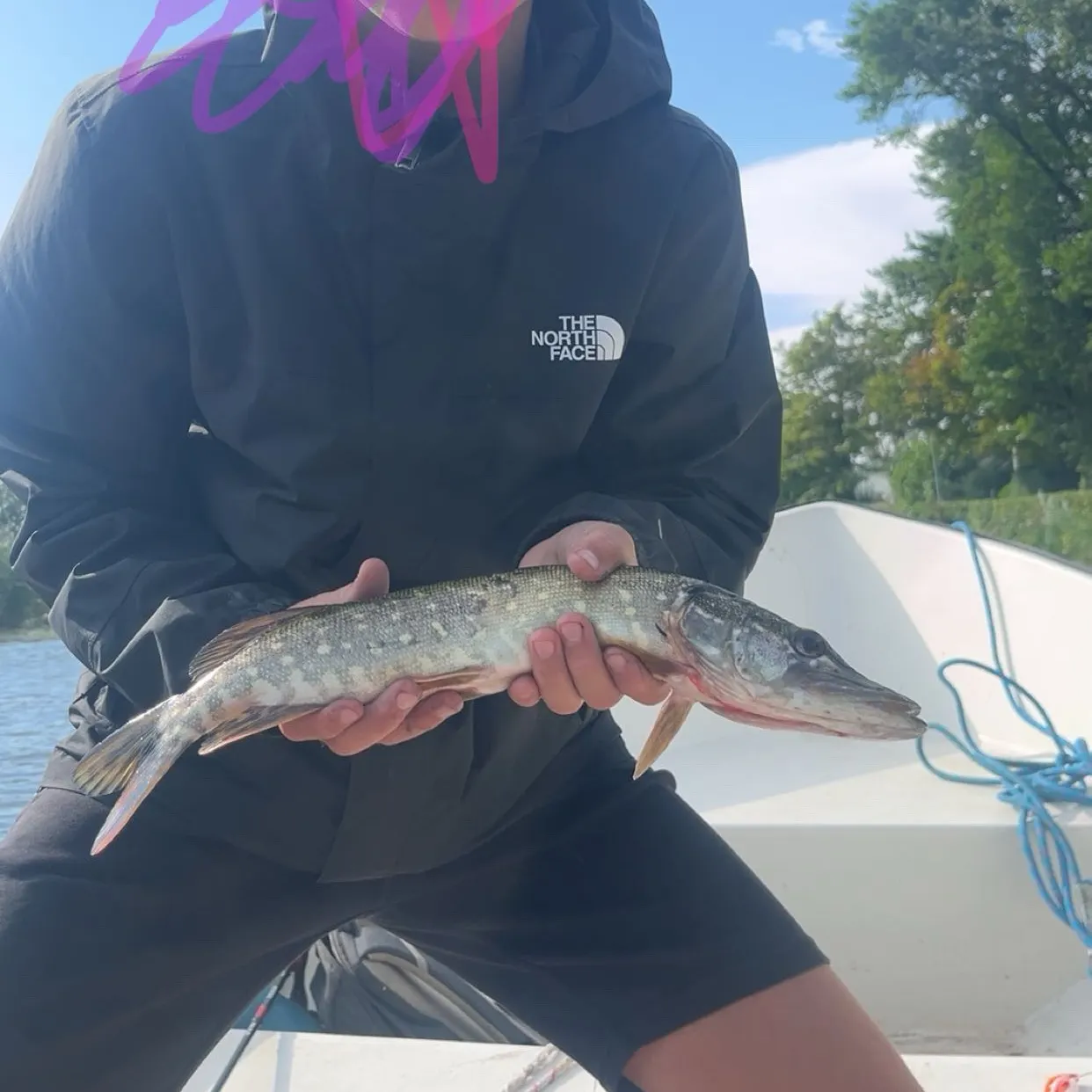 Northern pike caught on Fishbrain