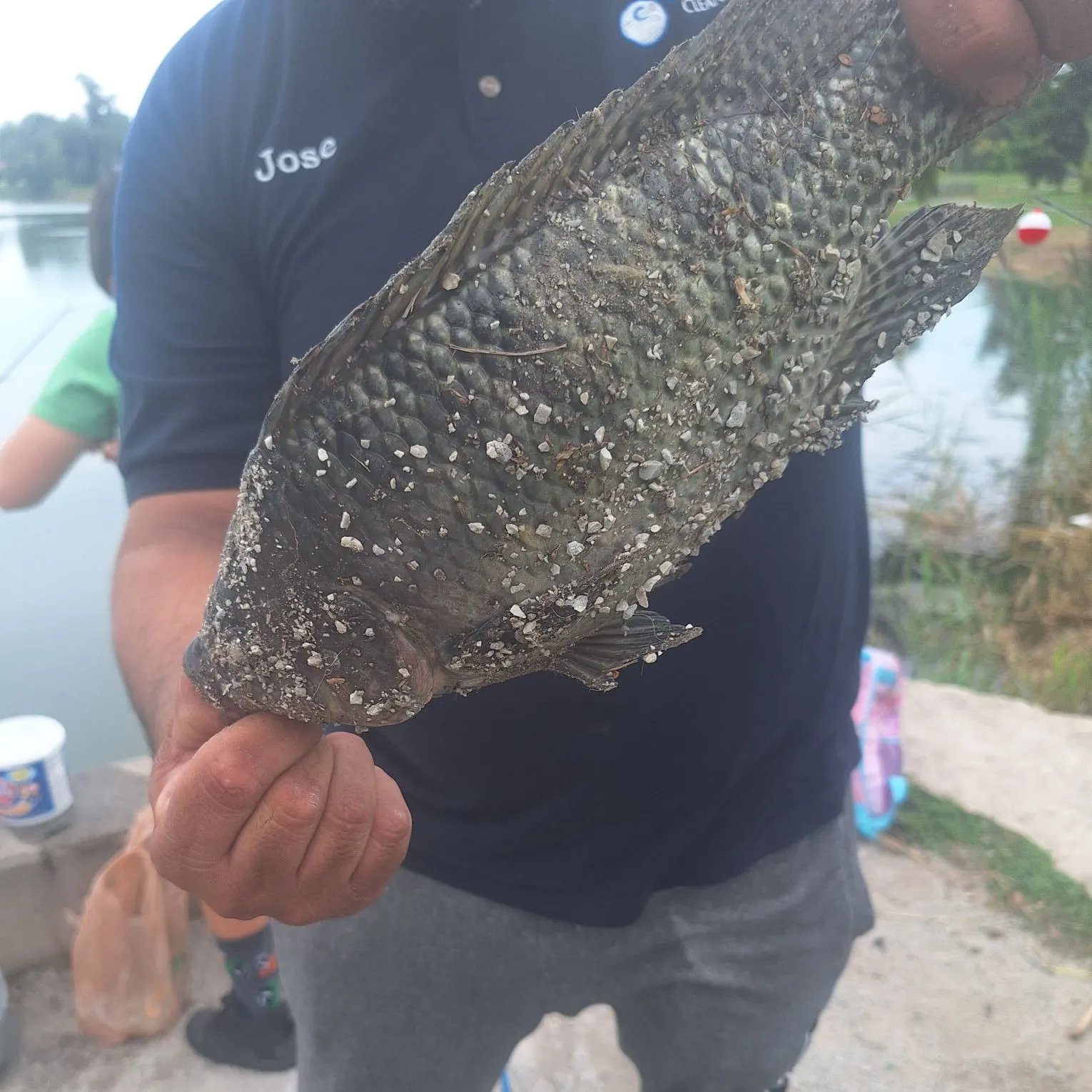 Nile tilapia caught on Fishbrain