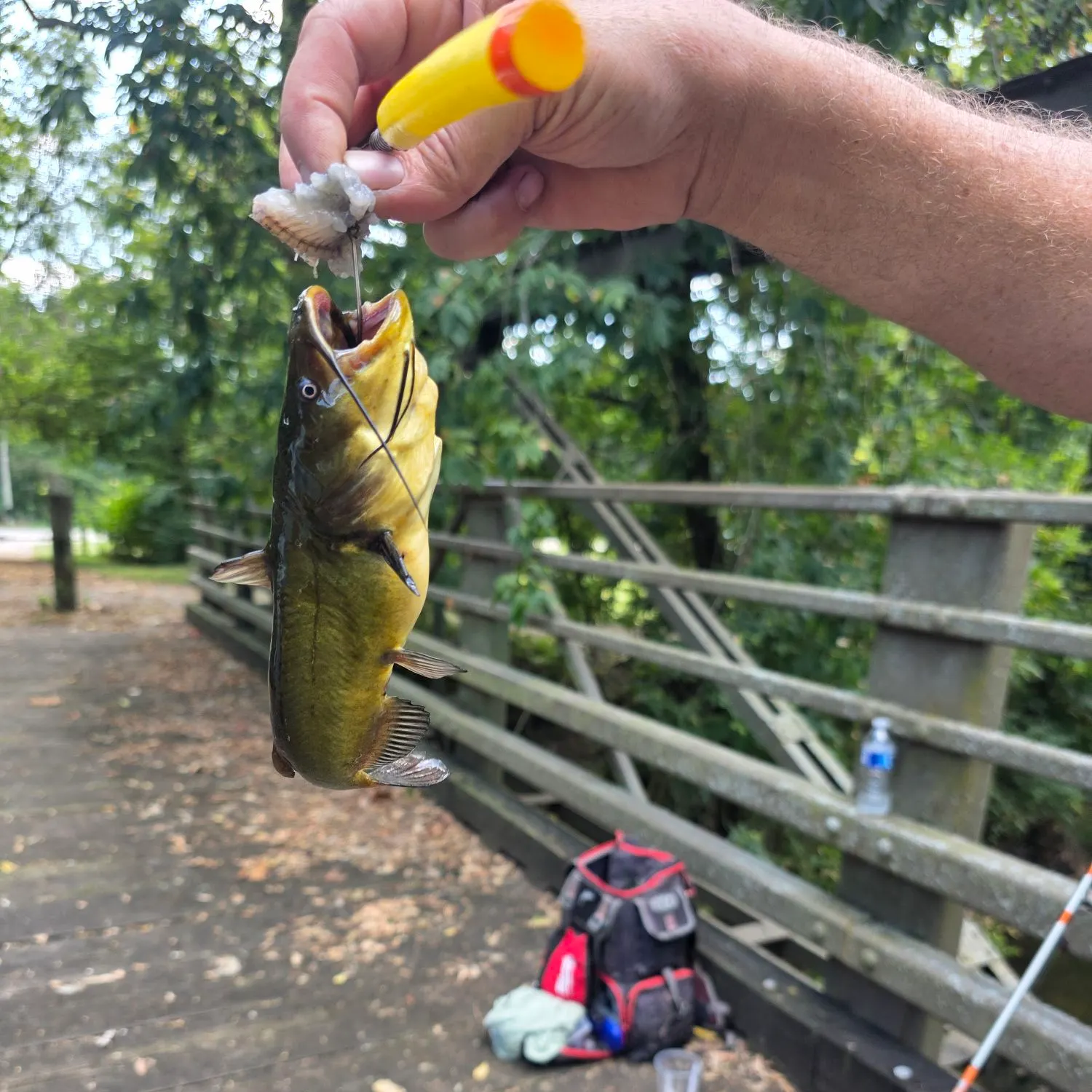 catch