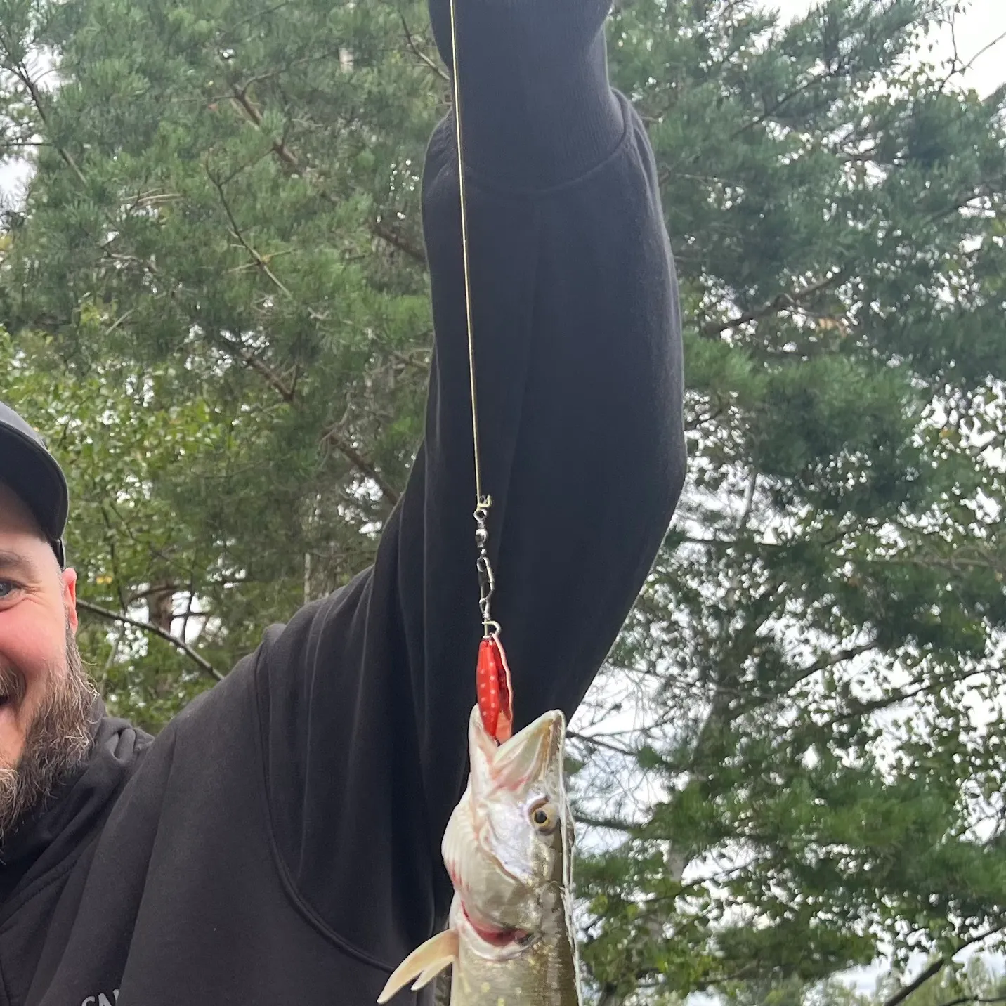 Northern pike caught on Fishbrain
