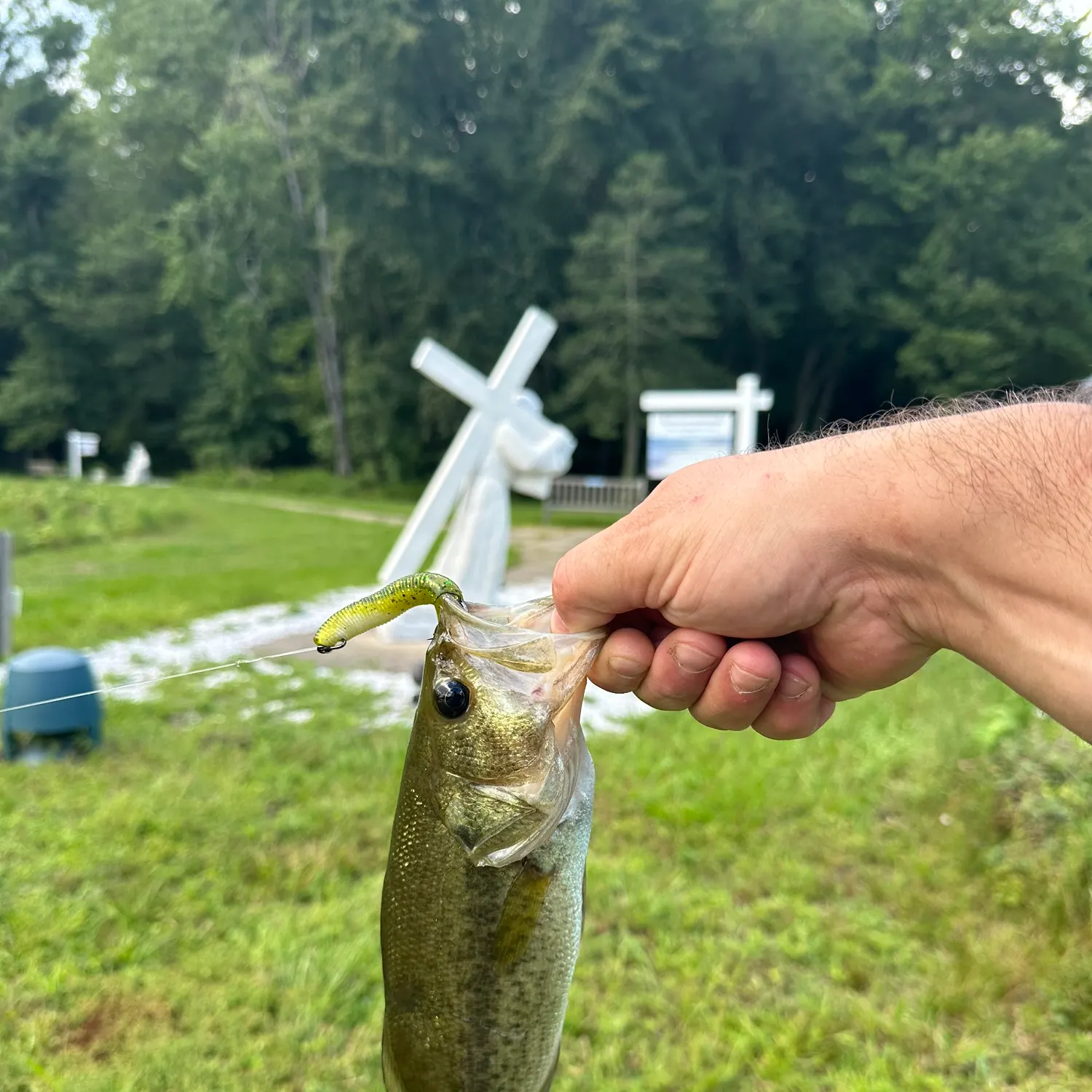 Fish caught on Fishbrain