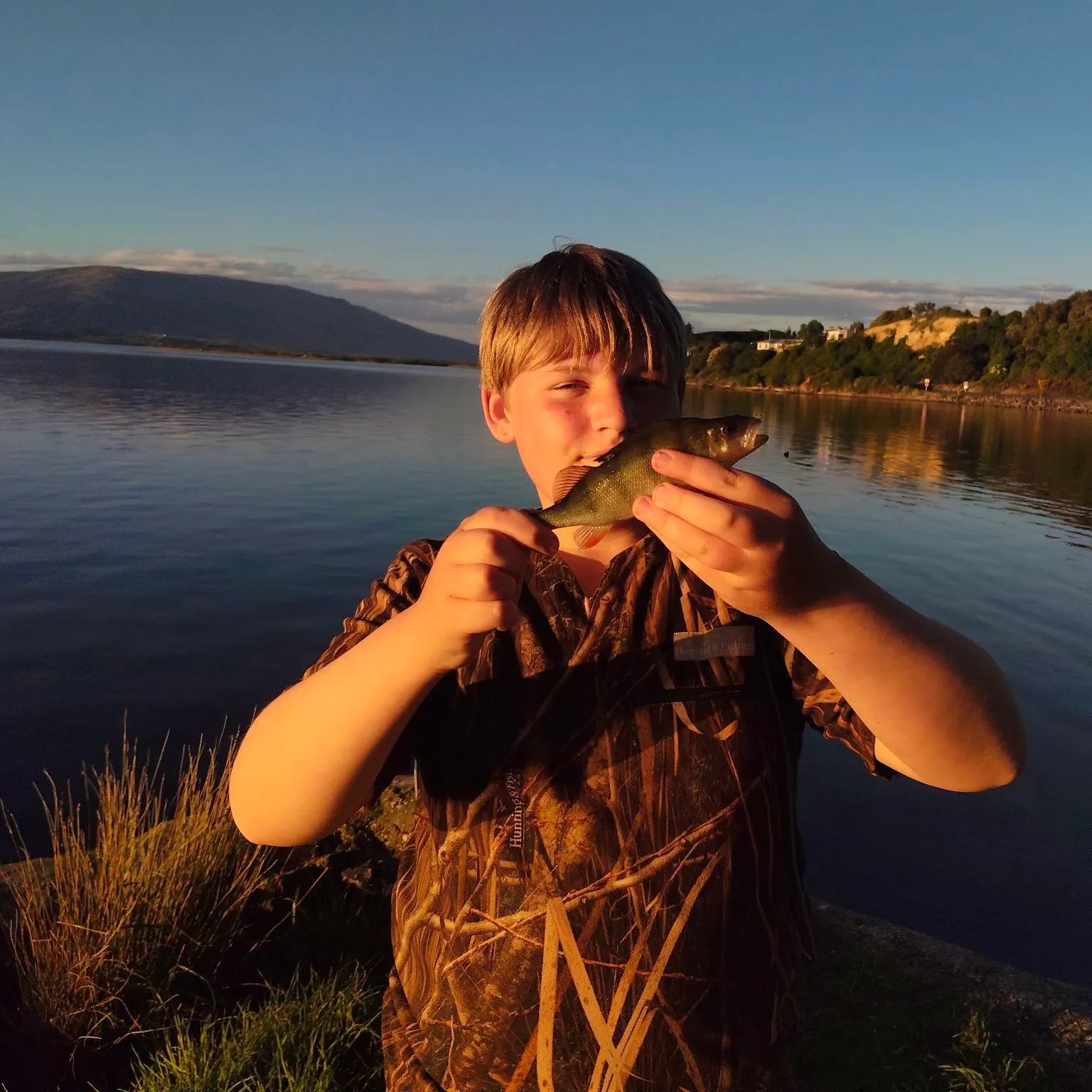 European perch caught on Fishbrain