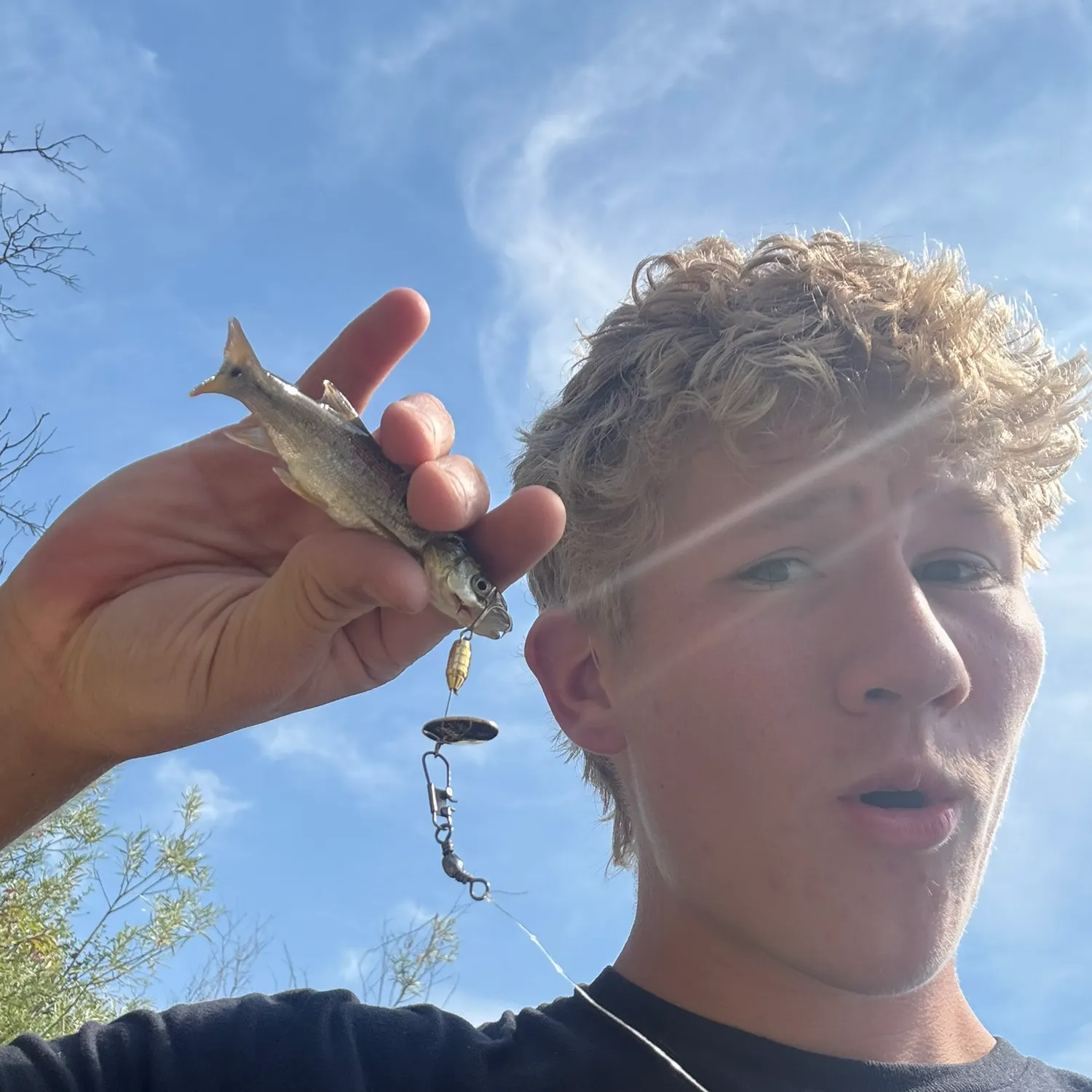 The most recent Northern pikeminnow catches on Fishbrain