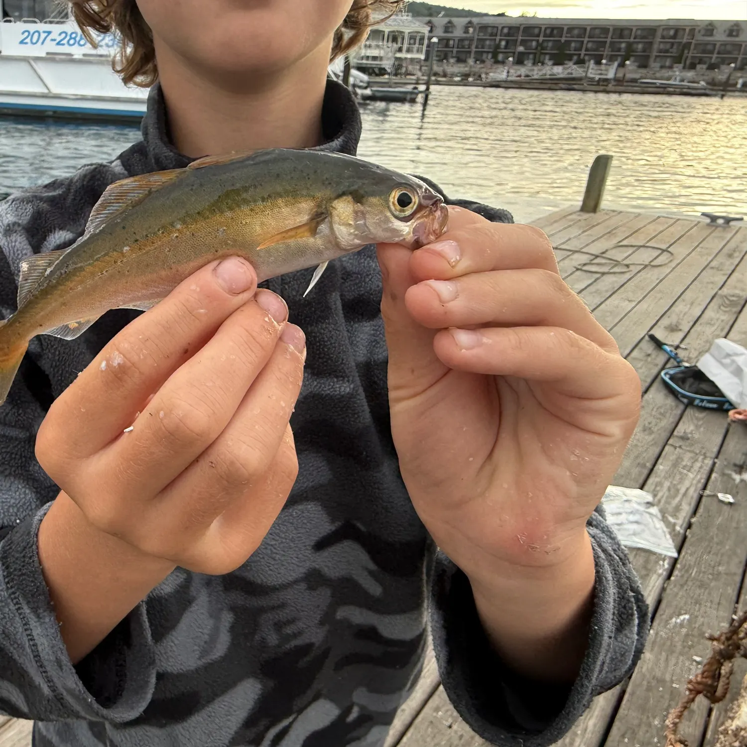 Fish caught on Fishbrain