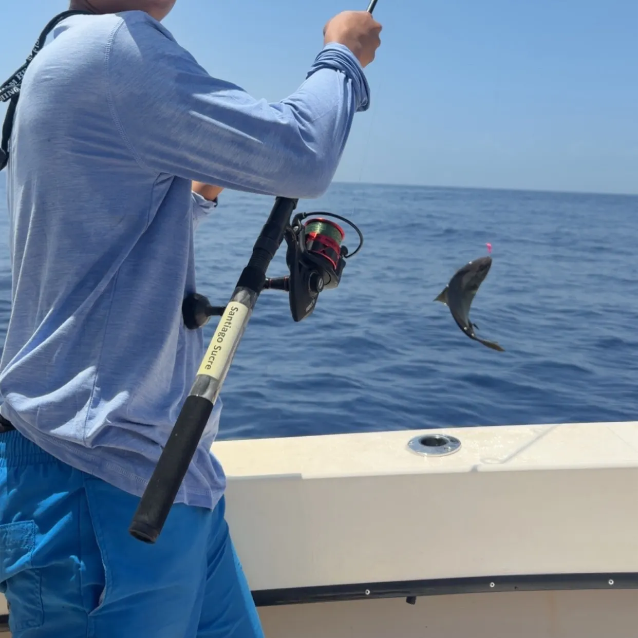 The most recent Common dolphinfish catches on Fishbrain