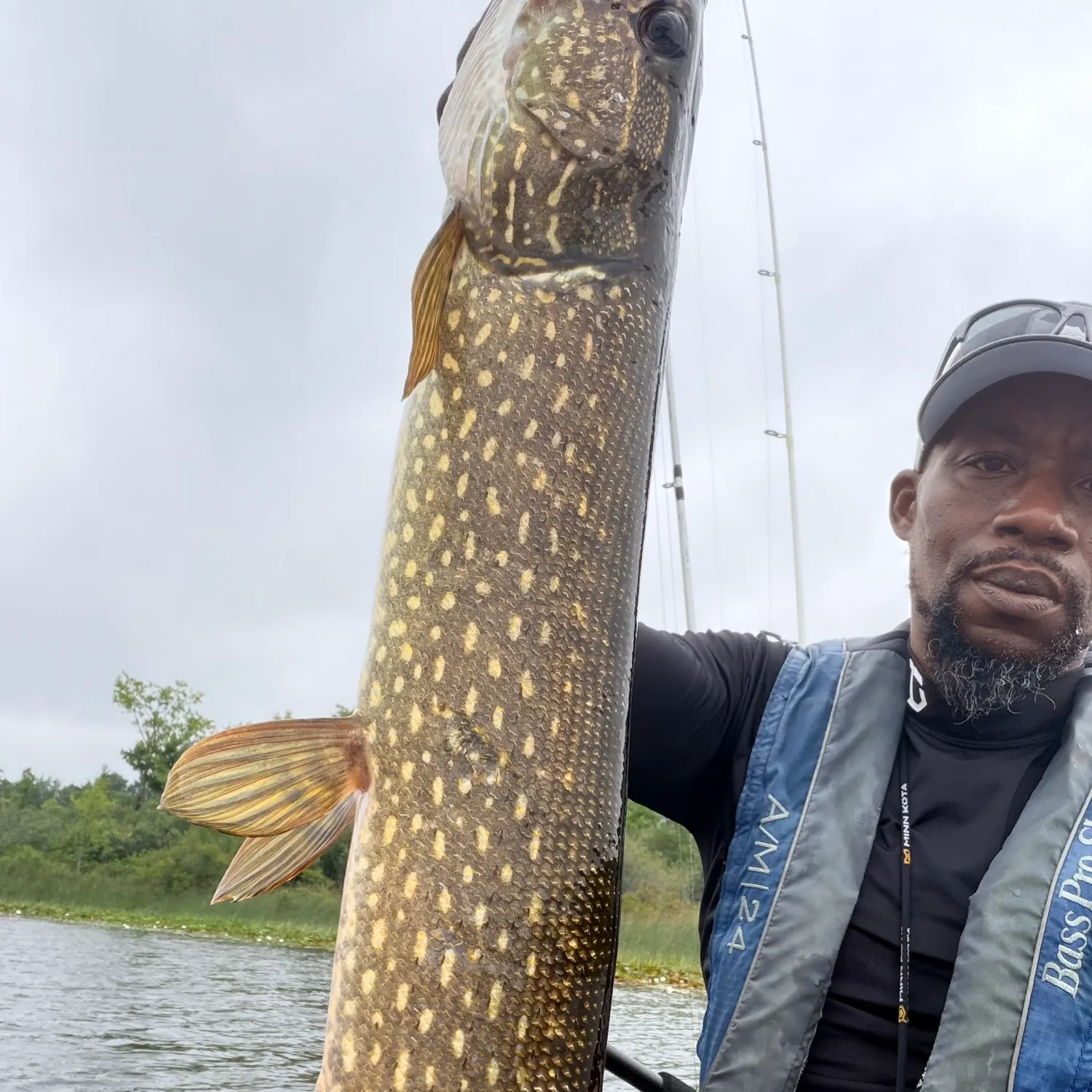 Northern pike caught on Fishbrain