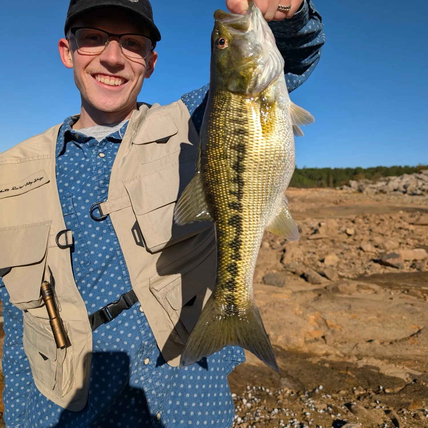 Spotted bass caught on Fishbrain