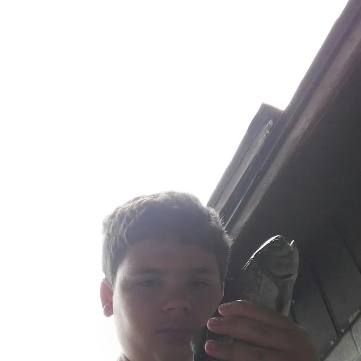 Rainbow trout caught on Fishbrain