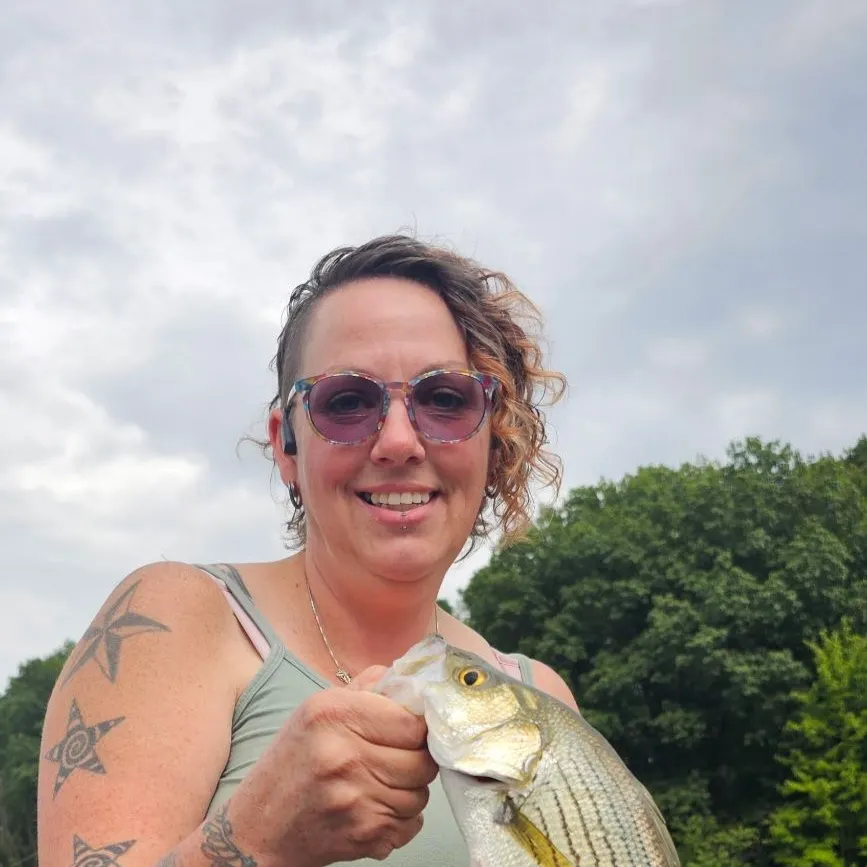 Striped bass caught on Fishbrain