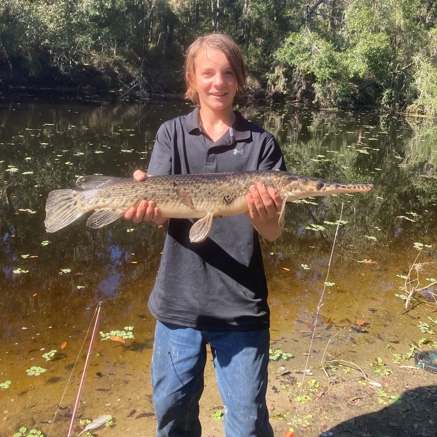 The most recent Spotted gar catches on Fishbrain