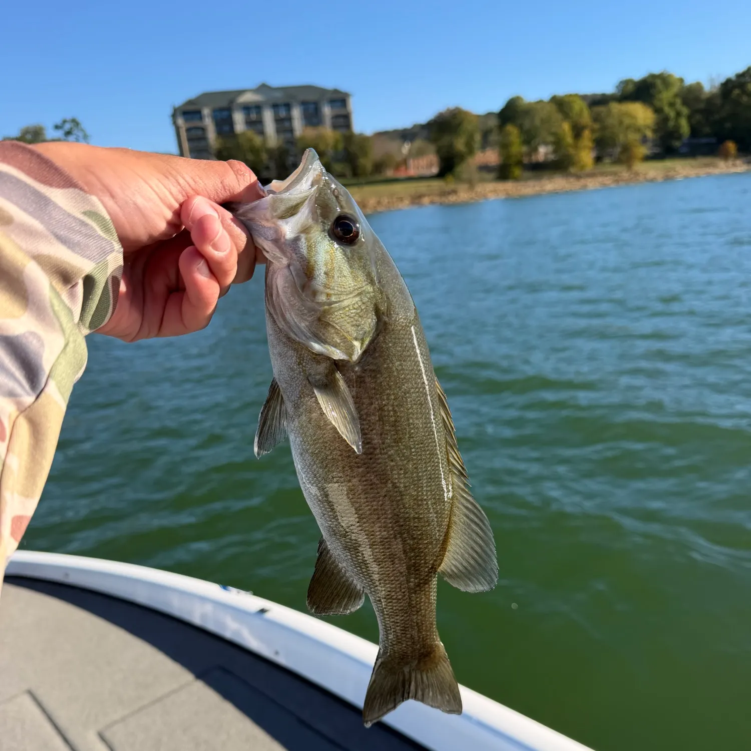 Smallmouth bass caught on Fishbrain
