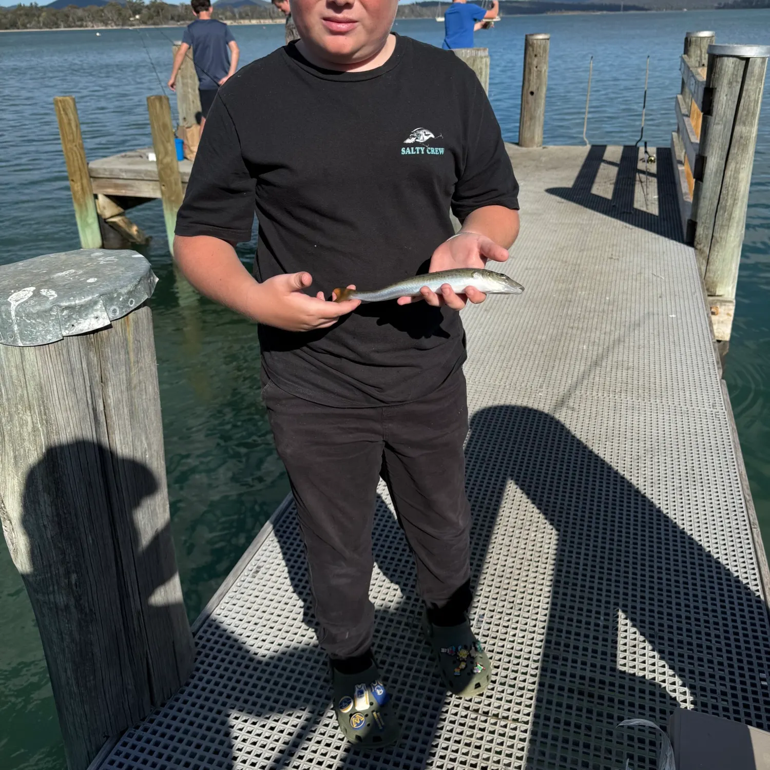 The most recent King George whiting catches on Fishbrain
