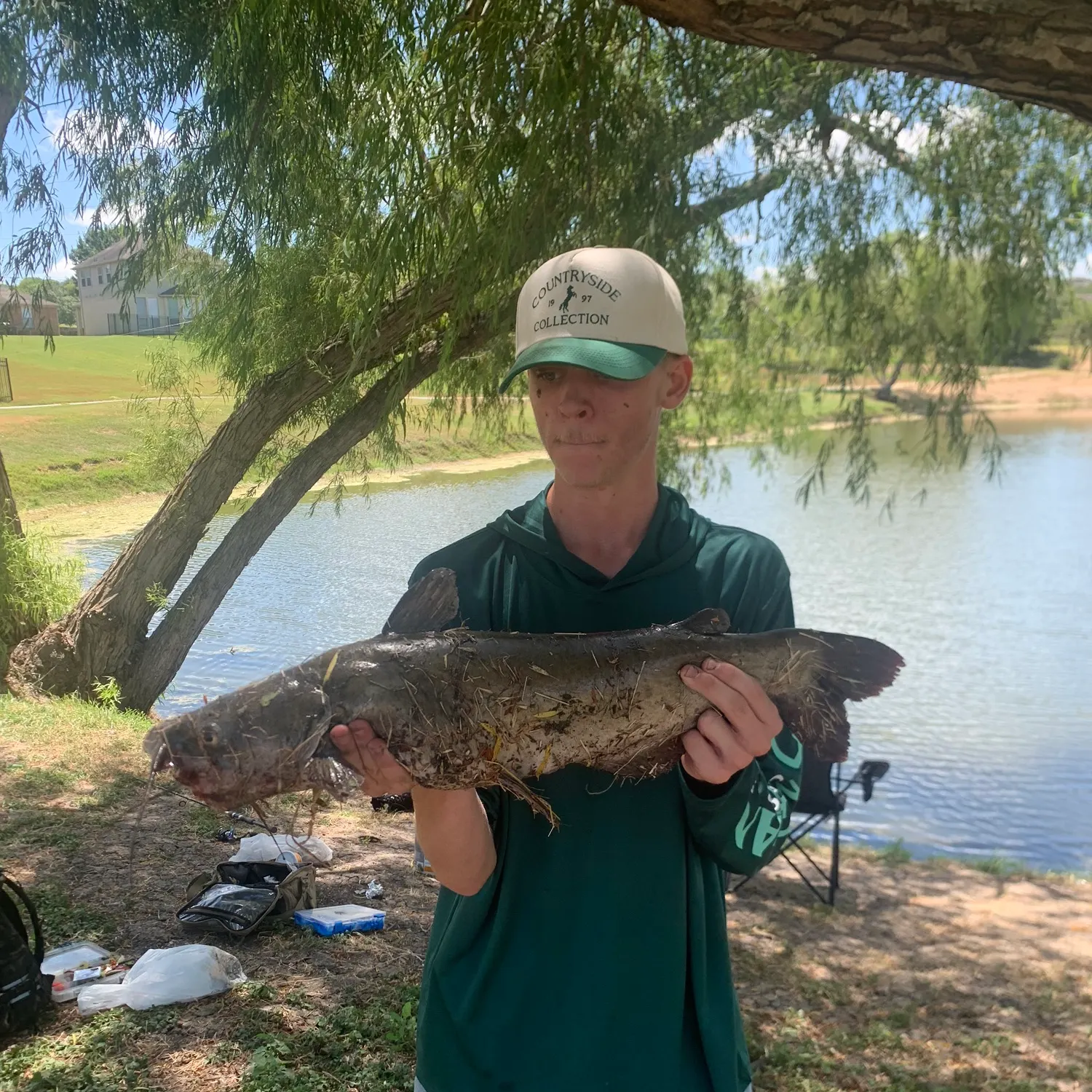 Channel catfish caught on Fishbrain
