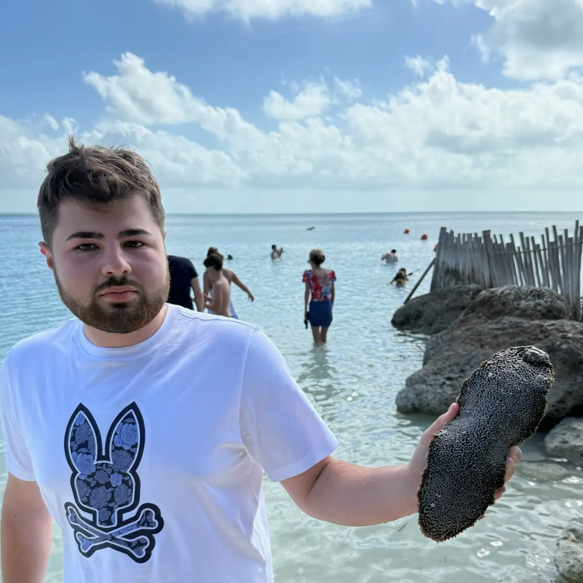 The most recent Florida sea cucumber catches on Fishbrain