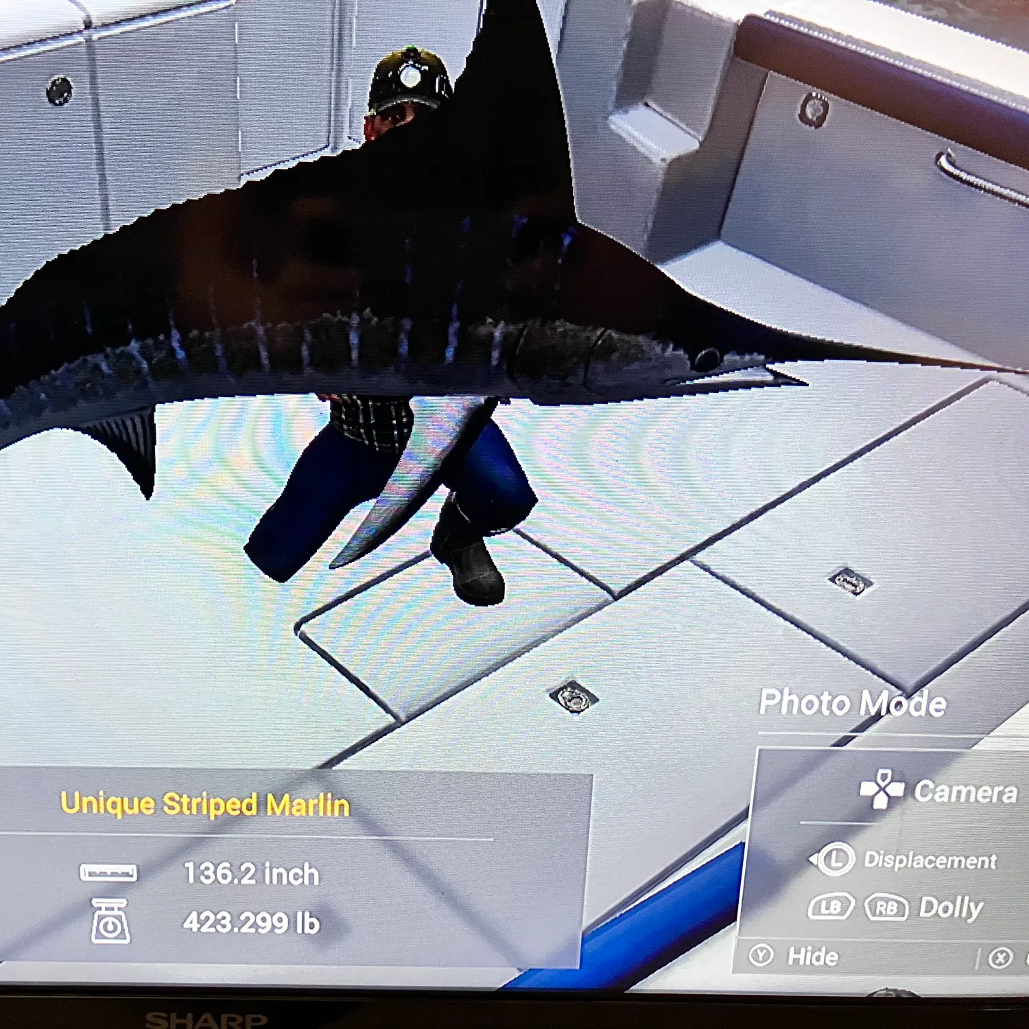 The most recent Striped marlin catches on Fishbrain