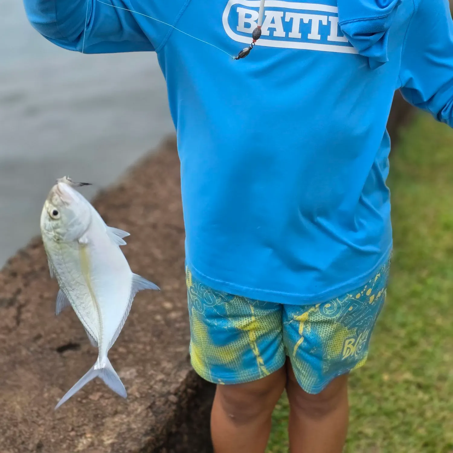 Bluefin trevally caught on Fishbrain
