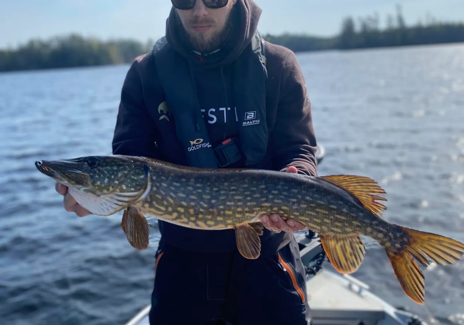 Northern pike