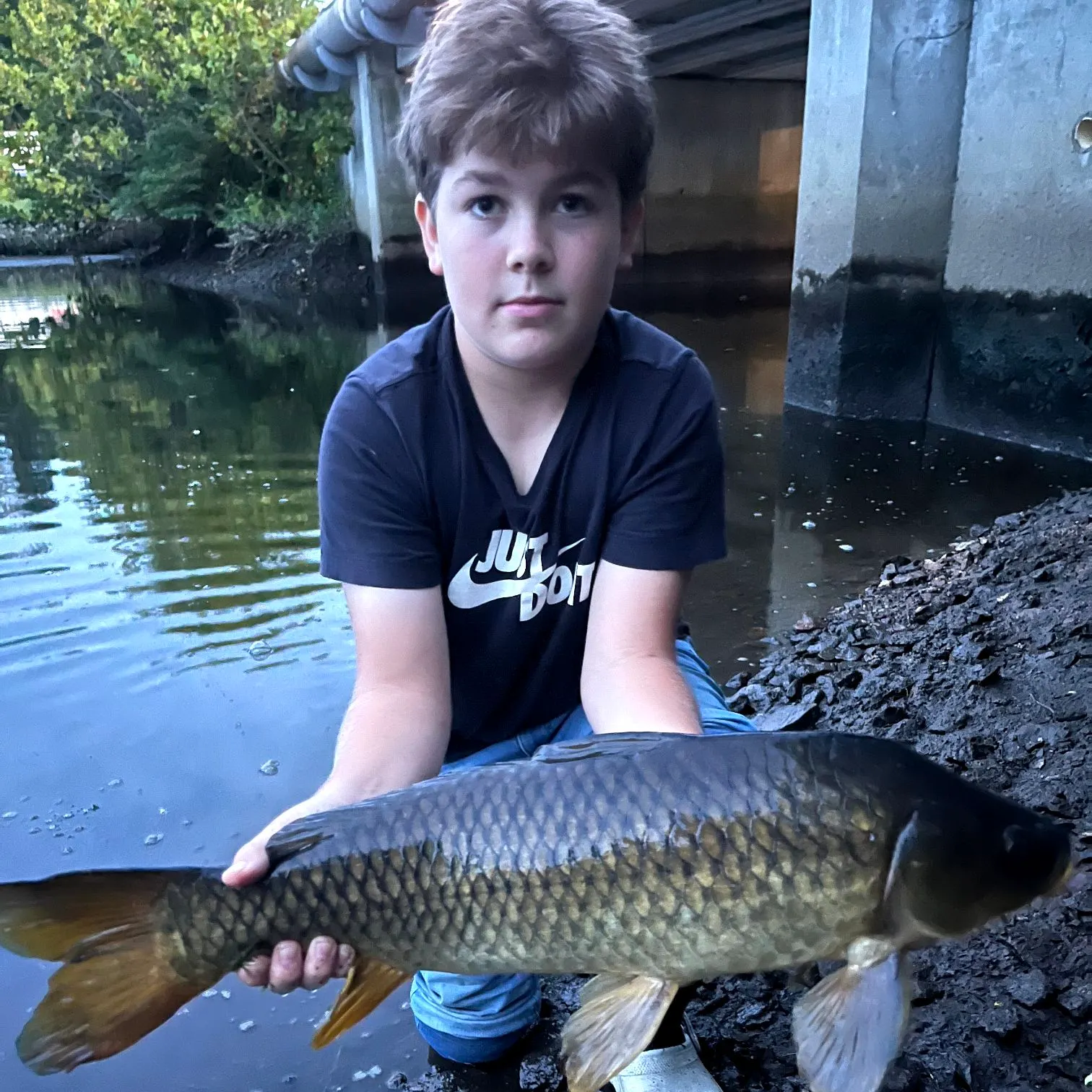 Common carp caught on Fishbrain